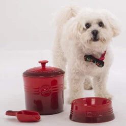Bol Para Perros Azul Marseille Le Creuset 8 Bol Para Perros Azul Marseille Le Creuset -Le Creuset Ventas Bol ceramico para mascotas azul marseille Le Creuset 1