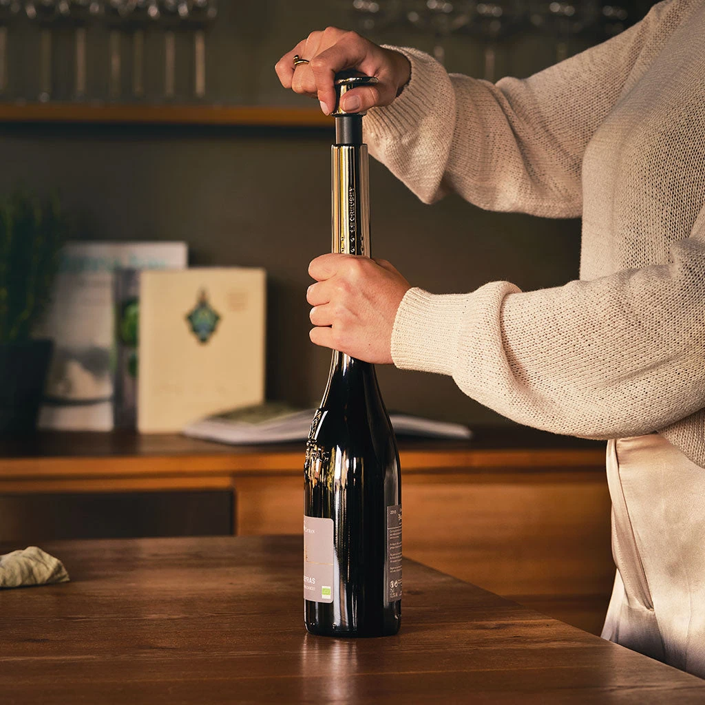 Bomba De Vacío WA-137 Le Creuset 2 Bomba De Vacío WA-137 Le Creuset - Imagen 2