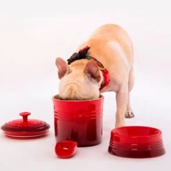 Bote Contenedor Con Cuchara Le Creuset -Le Creuset Ventas Contenedor de perros CJ2