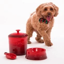 Bol Cerámico Para Mascotas Le Creuset 21 Bol Cerámico Para Mascotas Le Creuset -Le Creuset Ventas Contenedor de perros CJ3 6f3a2be4 6983 4248 8ddf cbe9d3a93bec