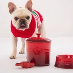 Bote Contenedor Con Cuchara Le Creuset -Le Creuset Ventas Contenedor de perros CJ4