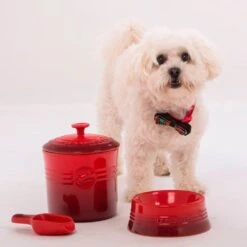 Bol Cerámico Para Mascotas Le Creuset 16 Bol Cerámico Para Mascotas Le Creuset -Le Creuset Ventas Contenedor de perros CJ5 db9e3f9d 9a3d 4fb2 8edd ba2c3f83e739