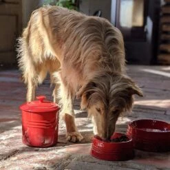 Bol Cerámico Para Mascotas Le Creuset 22 Bol Cerámico Para Mascotas Le Creuset -Le Creuset Ventas boles le creuset fusta1