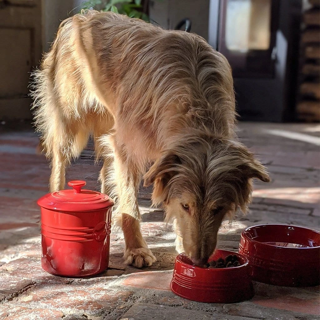 Bol Cerámico Para Mascotas Le Creuset 11 Bol Cerámico Para Mascotas Le Creuset - Imagen 11