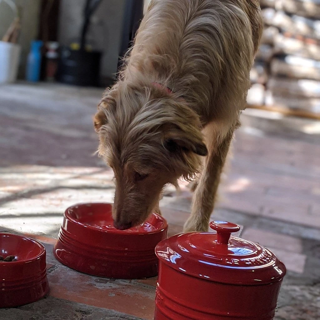Bol Cerámico Para Mascotas Le Creuset 2 Bol Cerámico Para Mascotas Le Creuset - Imagen 2