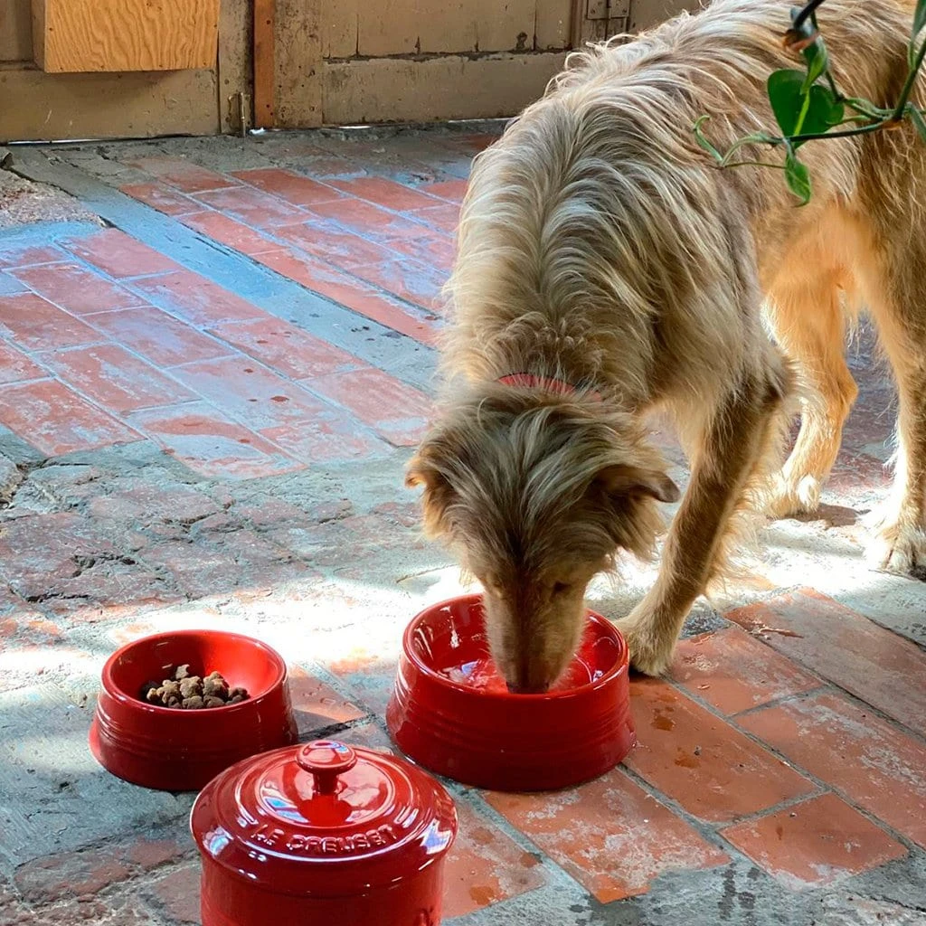 Bol Cerámico Para Mascotas Le Creuset 8 Bol Cerámico Para Mascotas Le Creuset - Imagen 8