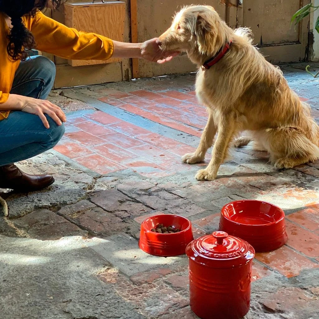 Bol Cerámico Para Mascotas Le Creuset 6 Bol Cerámico Para Mascotas Le Creuset - Imagen 6