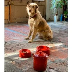 Bol Cerámico Para Mascotas Le Creuset 14 Bol Cerámico Para Mascotas Le Creuset -Le Creuset Ventas boles le creuset fusta6