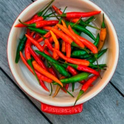 Cazuelita Tipo Plato Para Tapas Le Creuset -Le Creuset Ventas cazuela lecreuset